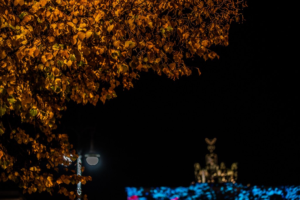 Festival of lights: Herbstfarben am Brandenburger Tor